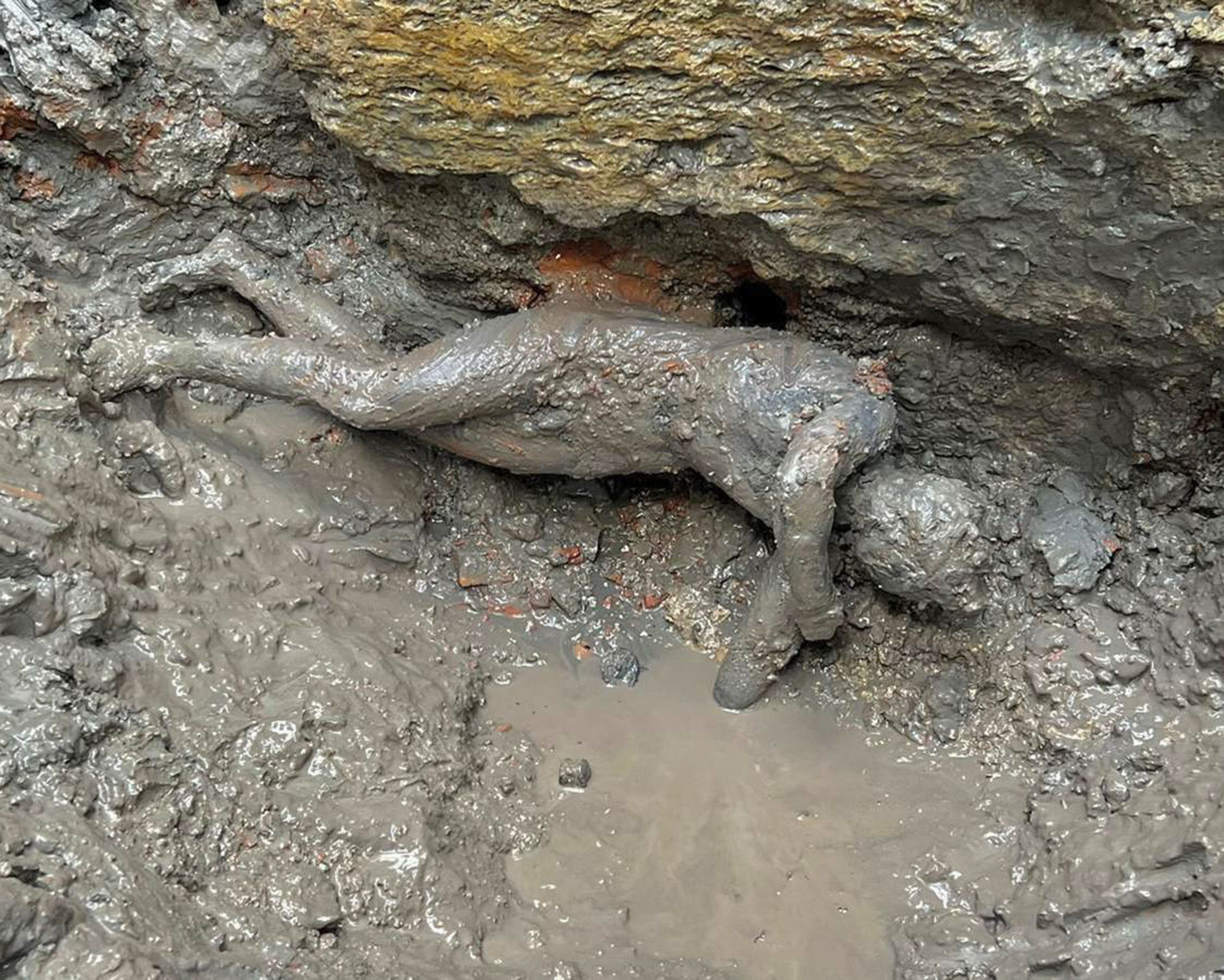 The statues, most in excellent condition, were preserved in the mud of hot springs