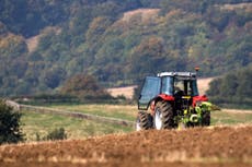 UK food prices set to rise further as farmers face ‘hammering’, MPs told