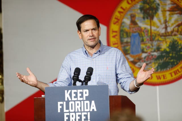 <p>Senator Marco Rubio </p>