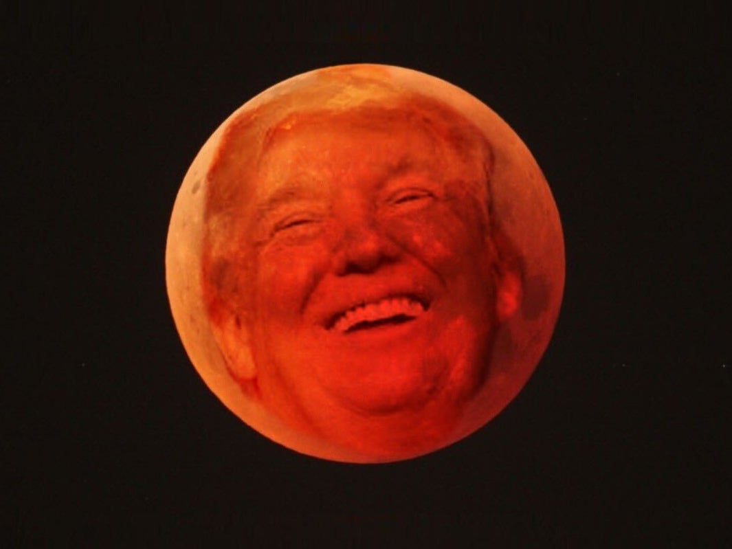 ‘We got cheated’: Pro-Trump online communities in disbelief over lack of a ‘red tsunami’