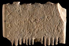 World’s ‘oldest written sentence’ discovered on headlice comb