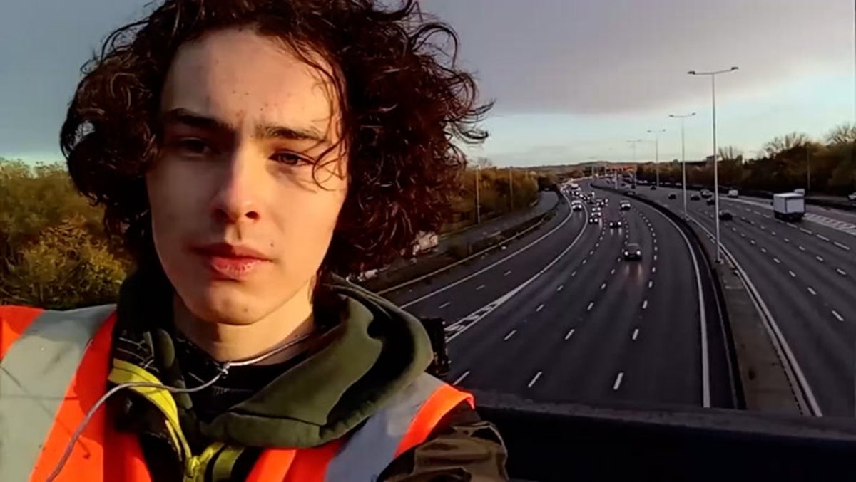 Animal Rebellion activist joins Just Stop Oil in protest on M25 gantry