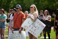 Fox pundit says Democrats did well in midterms because 'these women just went crazy'