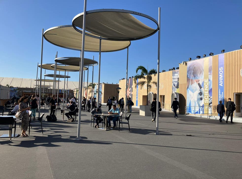 <p>Cop27 on day four of the summit in Sharm el-Sheikh in Egypt</p>