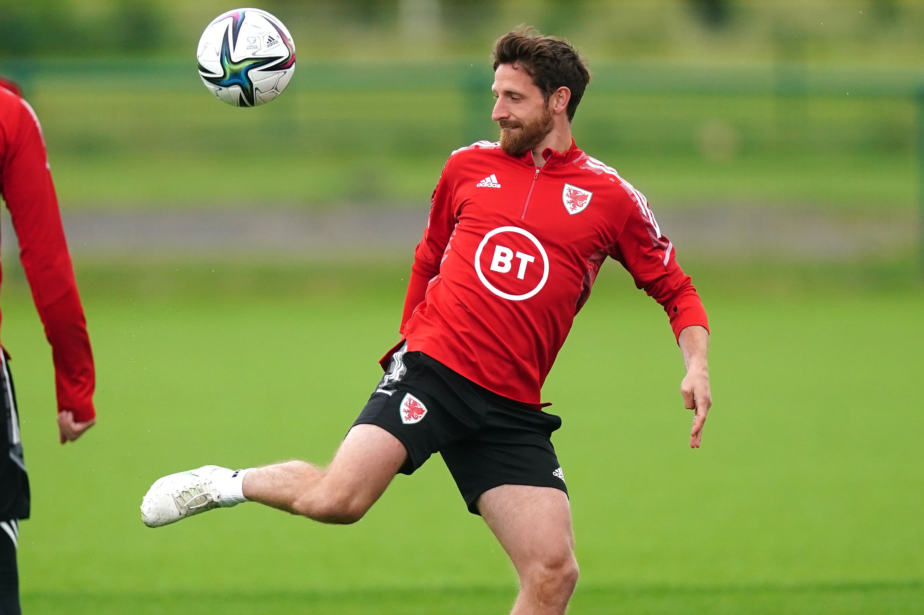 Video: Joe Rodon not happy with Ben Davies during Wales team photo