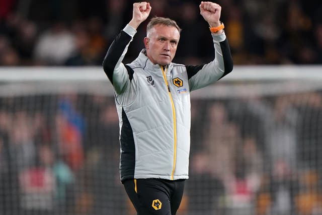 Wolves caretaker manager Steve Davis celebrates at the final whistle (Joe Giddens/PA)