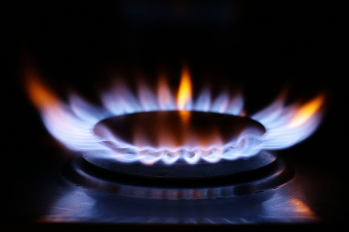 Households paying £94 extra on energy bills due to regulator’s failure
