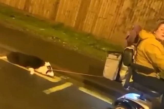 <p>Harrowing footage shows a dog being dragged along a road by a woman driving a mobility scooter</p>