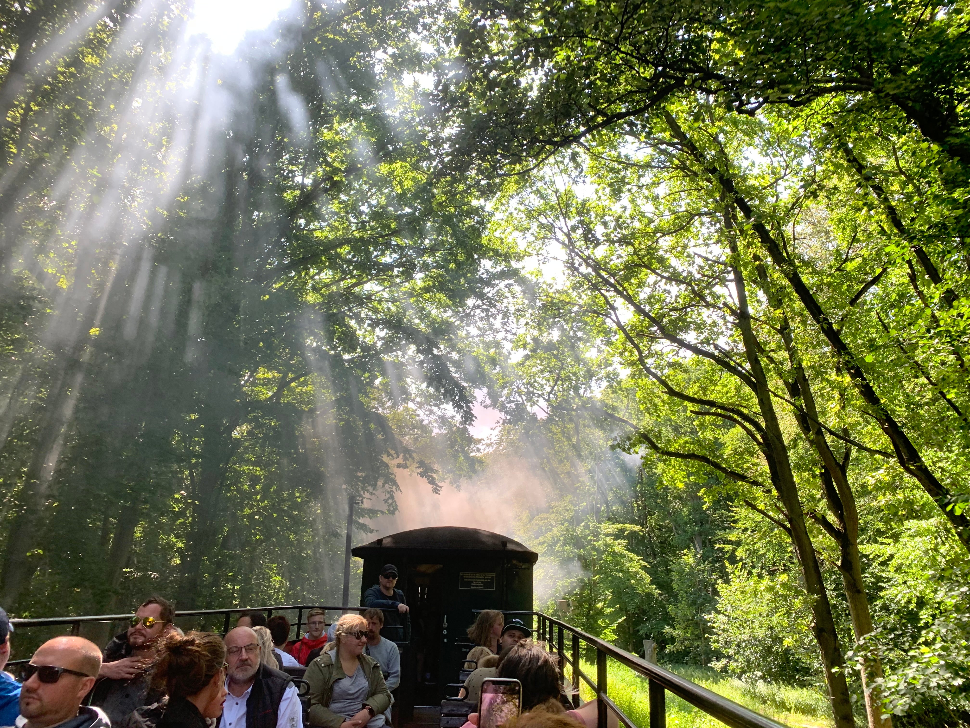 The Raging Roland steam railway is covered by the new rail pass