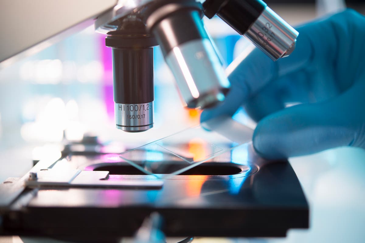 UK and Switzerland sign own science deal after both excluded from EU programme