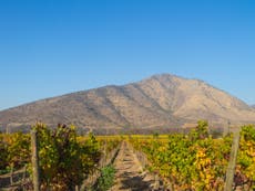 How to do a sustainable wine tour of Chile