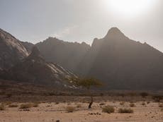 A line in the sand: How Saudi Arabia is delivering on key promises from Cop26