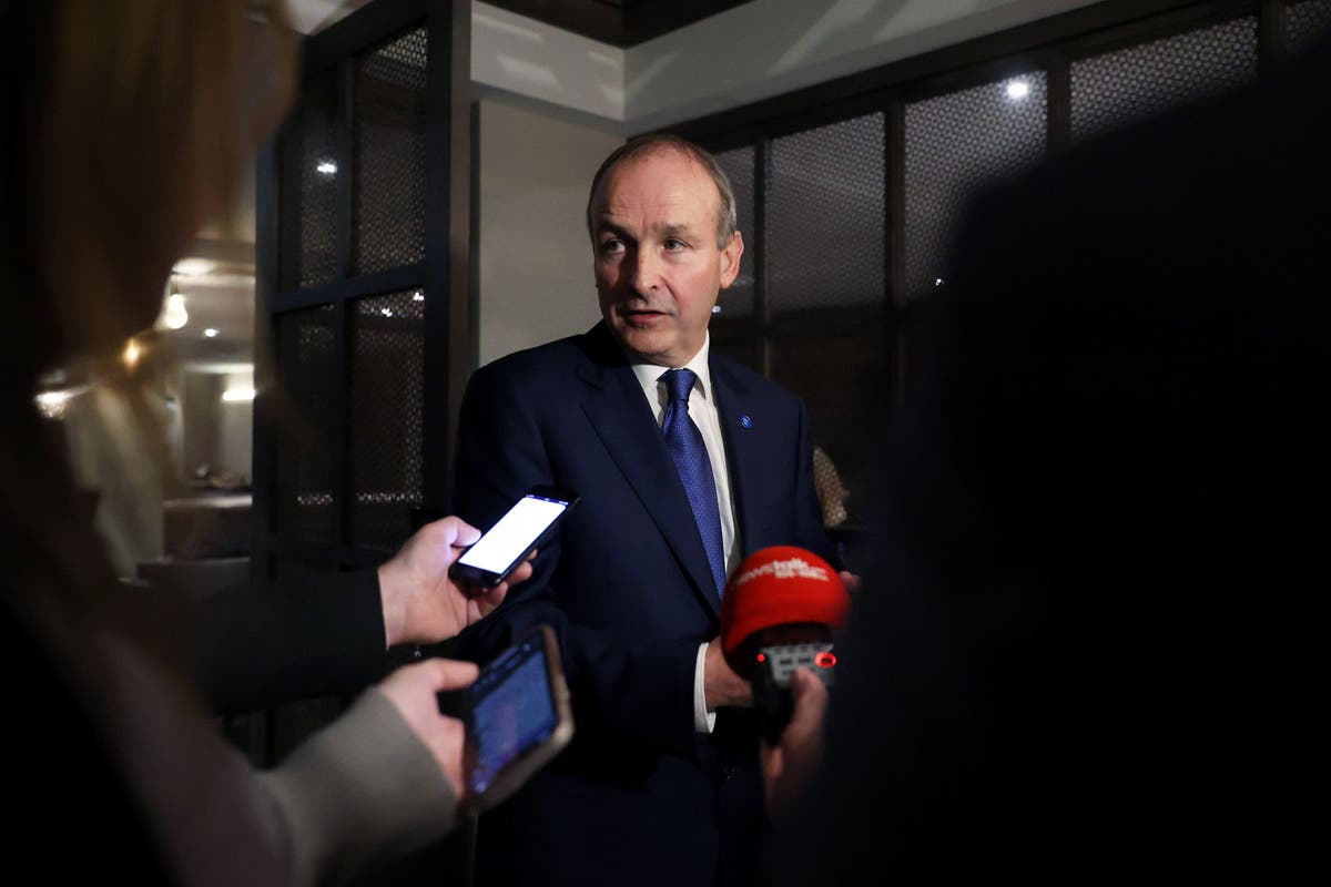 Micheal Martin: &lsquo;Meat on bone&rsquo; needed to resolve Northern Ireland Protocol