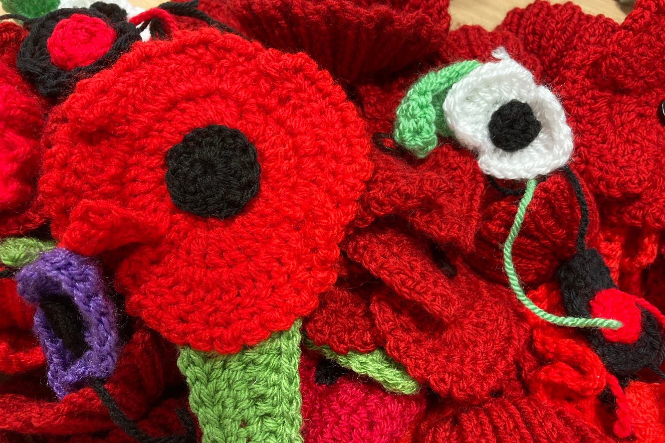 A close-up of some of the poppies (Epsom and St Helier University Hospitals NHS Trust)