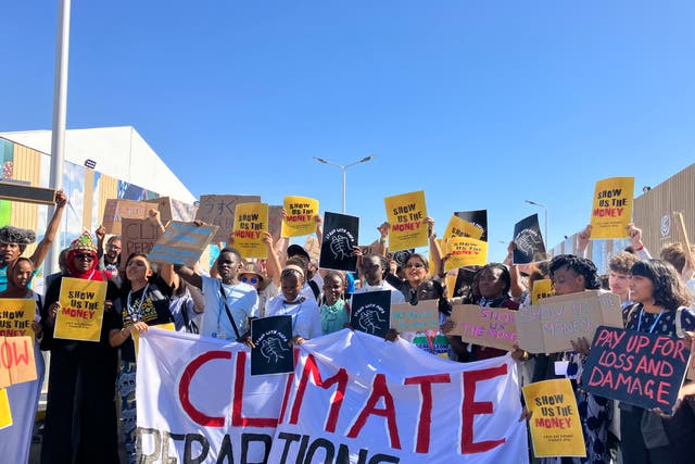 <p>Youth activists call for compensation from rich countries at Cop27.  </p>
