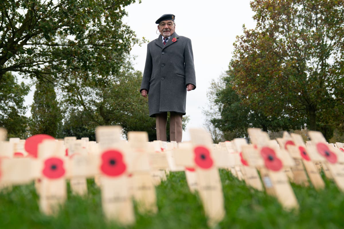 Nation falls silent to mark Armistice Day Nation falls silent to mark Armistice Day
