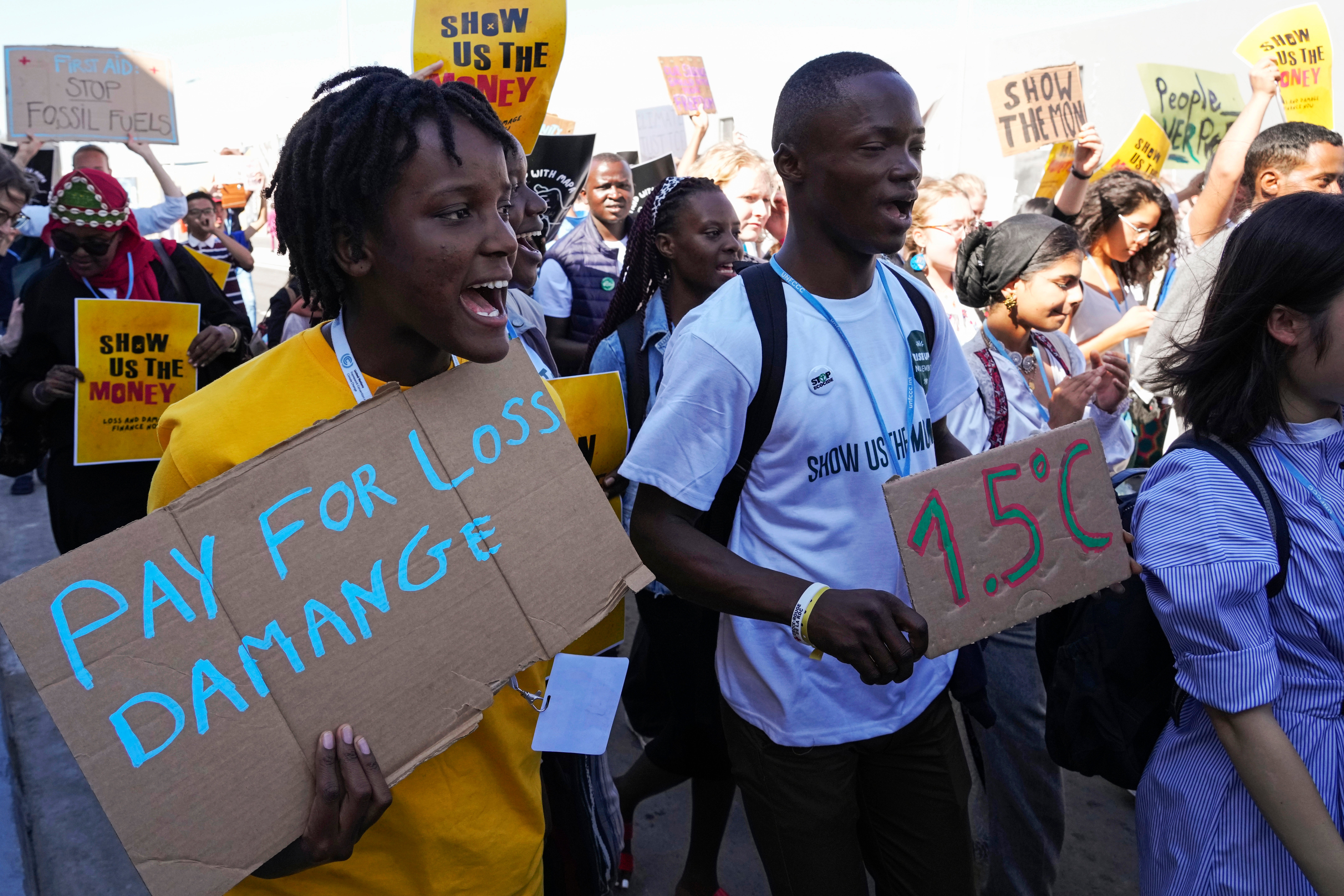<p>Demonstrators participate in a protest at the Cop27 UN climate summit</p>