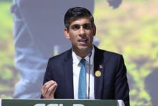 What might Rishi Sunak achieve at the G20 summit?