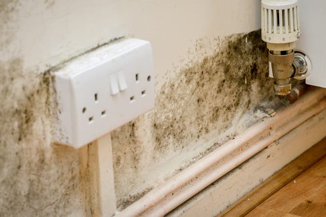 <p>Homeowners are living with cracks in walls and ceilings, flaky paint, and wonky kitchen cupboards – because they don’t have time to get them fixed</p>