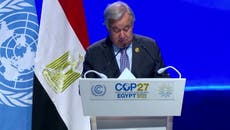 Cop27: UN secretary general sparks laughter as he reads wrong speech