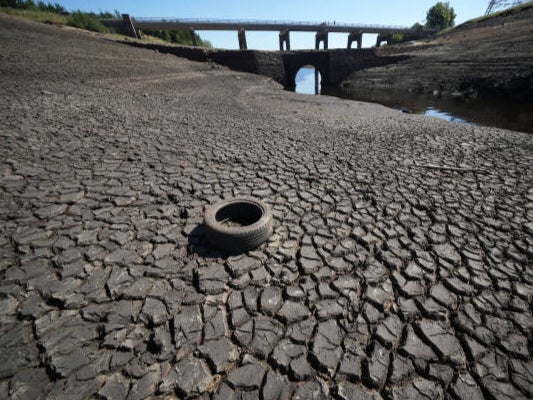 Drought in Yorkshire this year