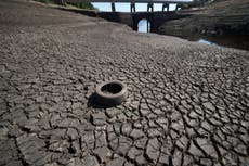 Record high temperatures and greenhouse gases seen in 2022