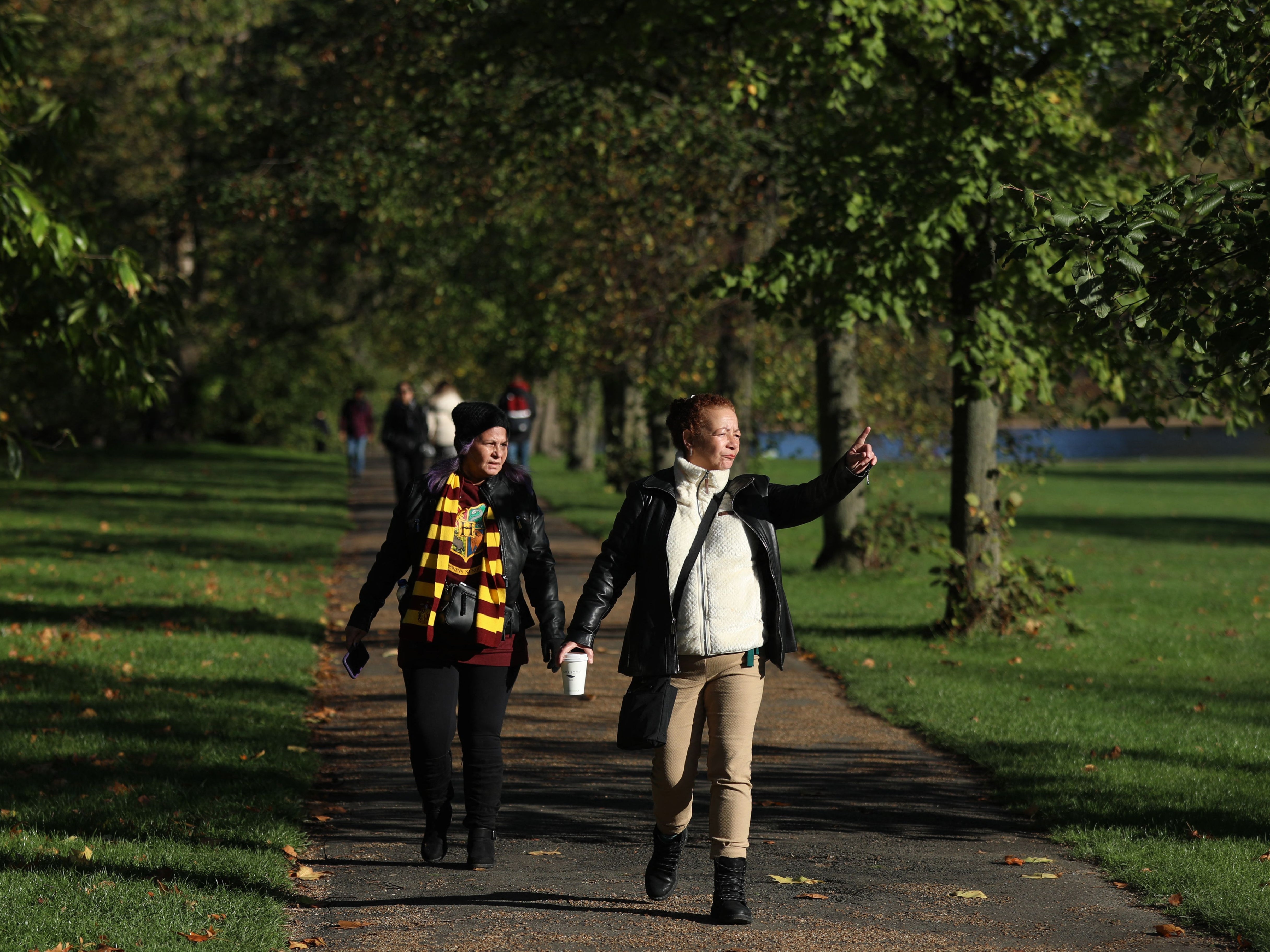 The weather has experienced an ‘exceptionally mild’ spell in November