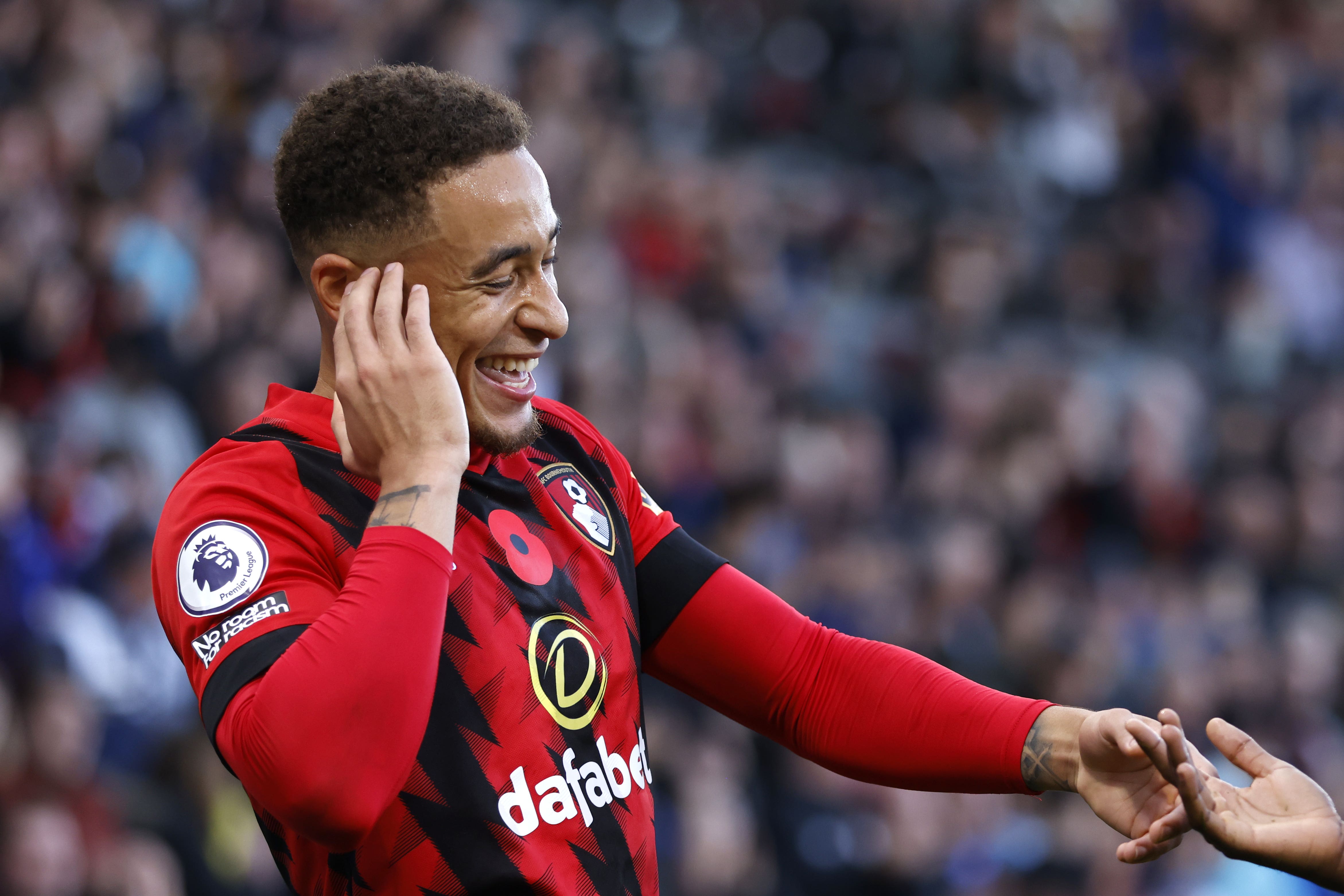 Bournemouth stormed to a 3-0 victory over Everton (Steven Paston/PA)