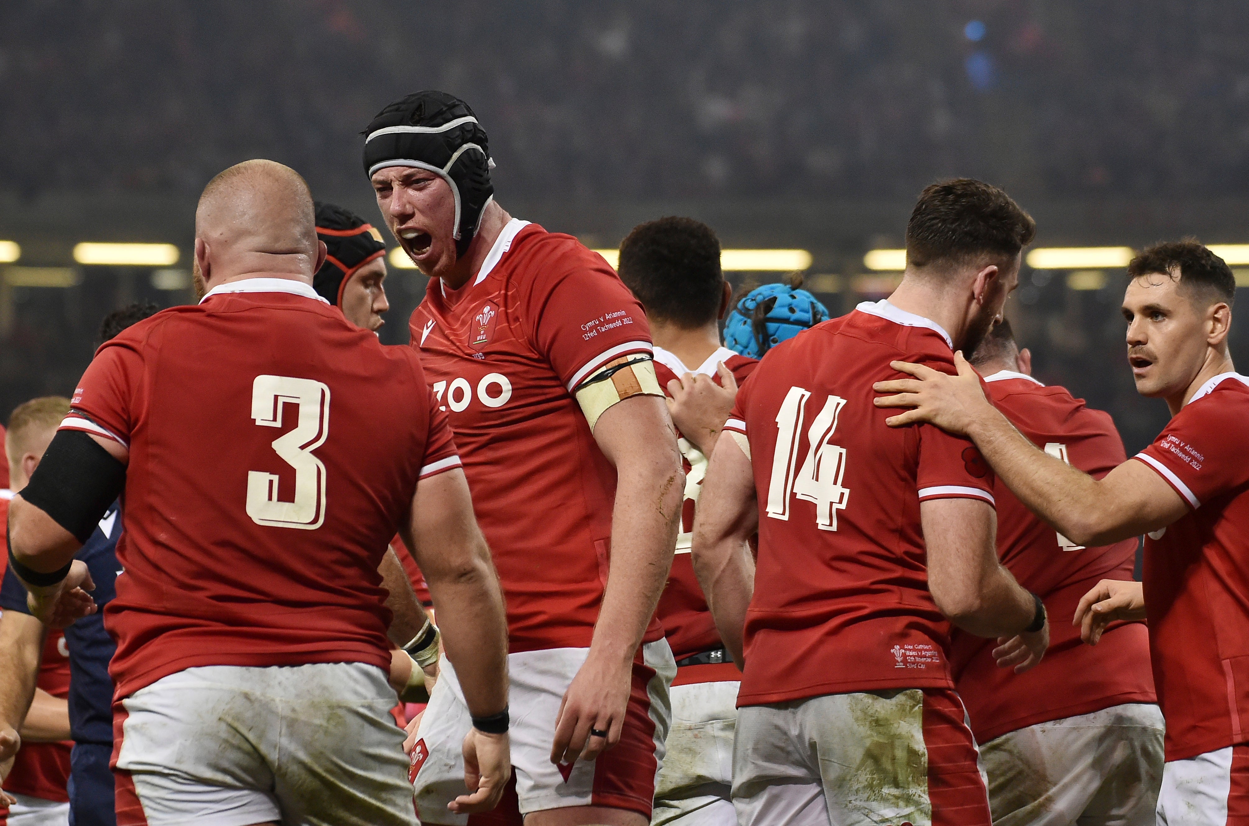Wales vs Argentina LIVE rugby Result and reaction from autumn international in Cardiff as Wales edge to win The Independent