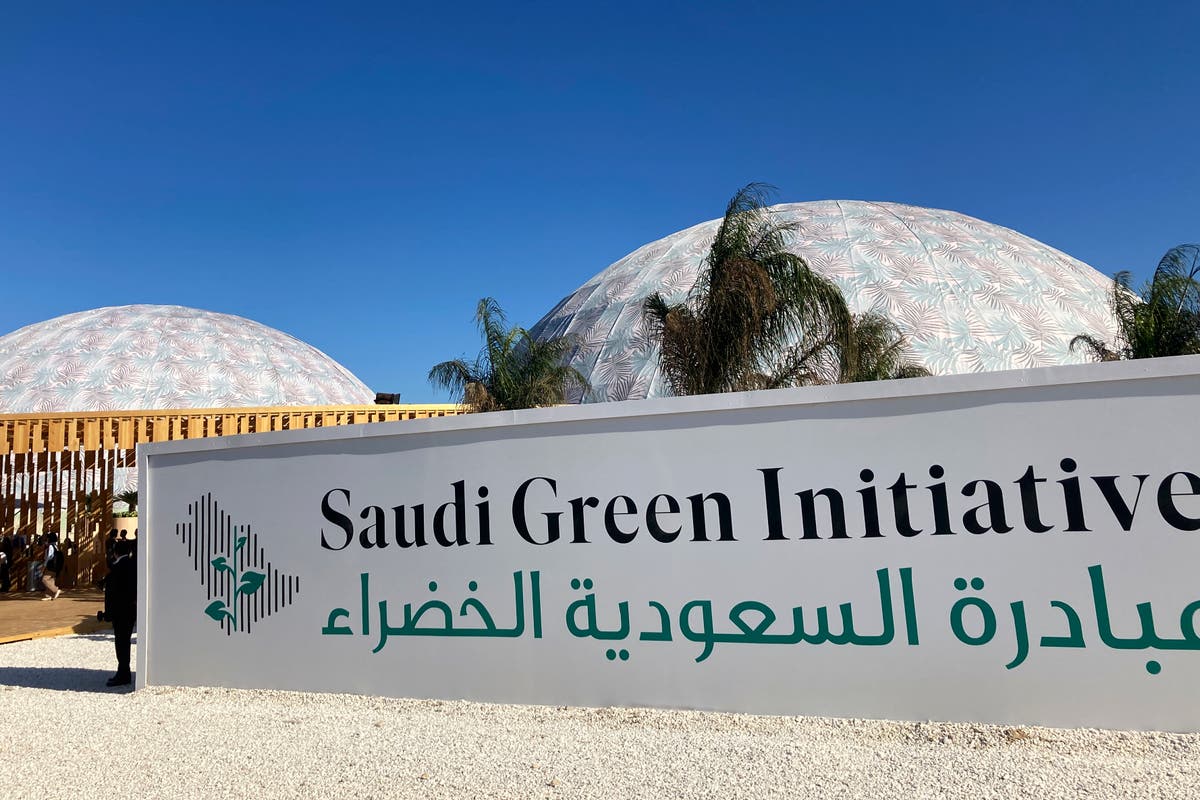 Who said what? Action and ambition at Cop27’s Saudi Green Initiative | The Independent