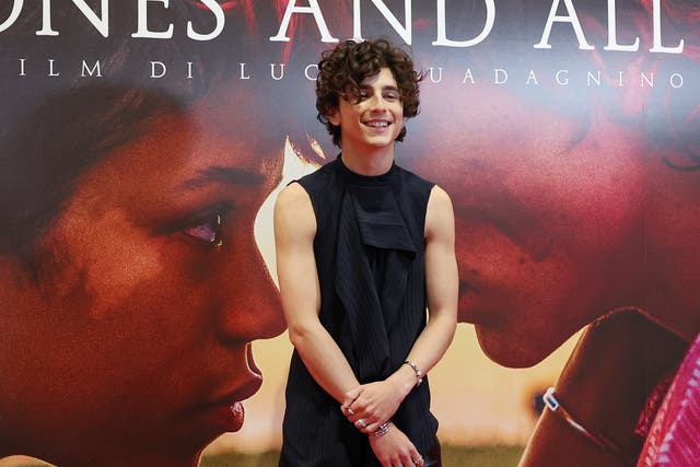 <p>‘Bones and All’ marks Chalamet’s second time working with Italian director Luca Guadagnino</p>