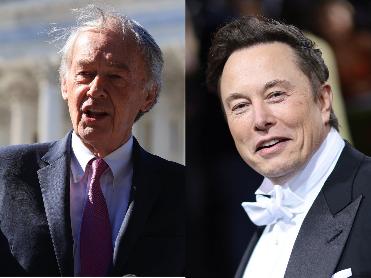 US Senator threatens to ‘fix’ Elon Musk’s companies after billionaire mocked him on Twitter