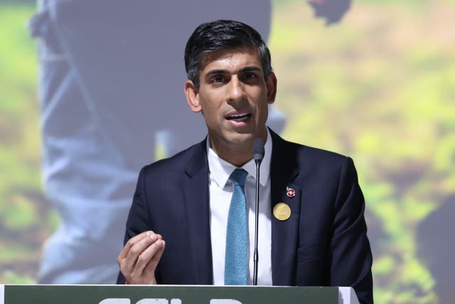 Prime Minister Rishi Sunak will attend G20 talks in Bali this week (Steve Reigate/Daily Express/PA)