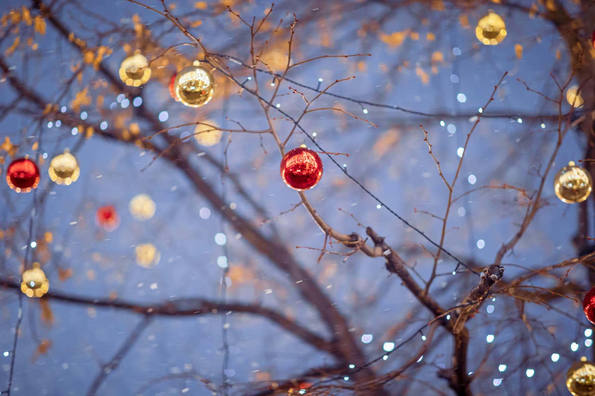 Give your garden festive sparkle by lighting it up in winter