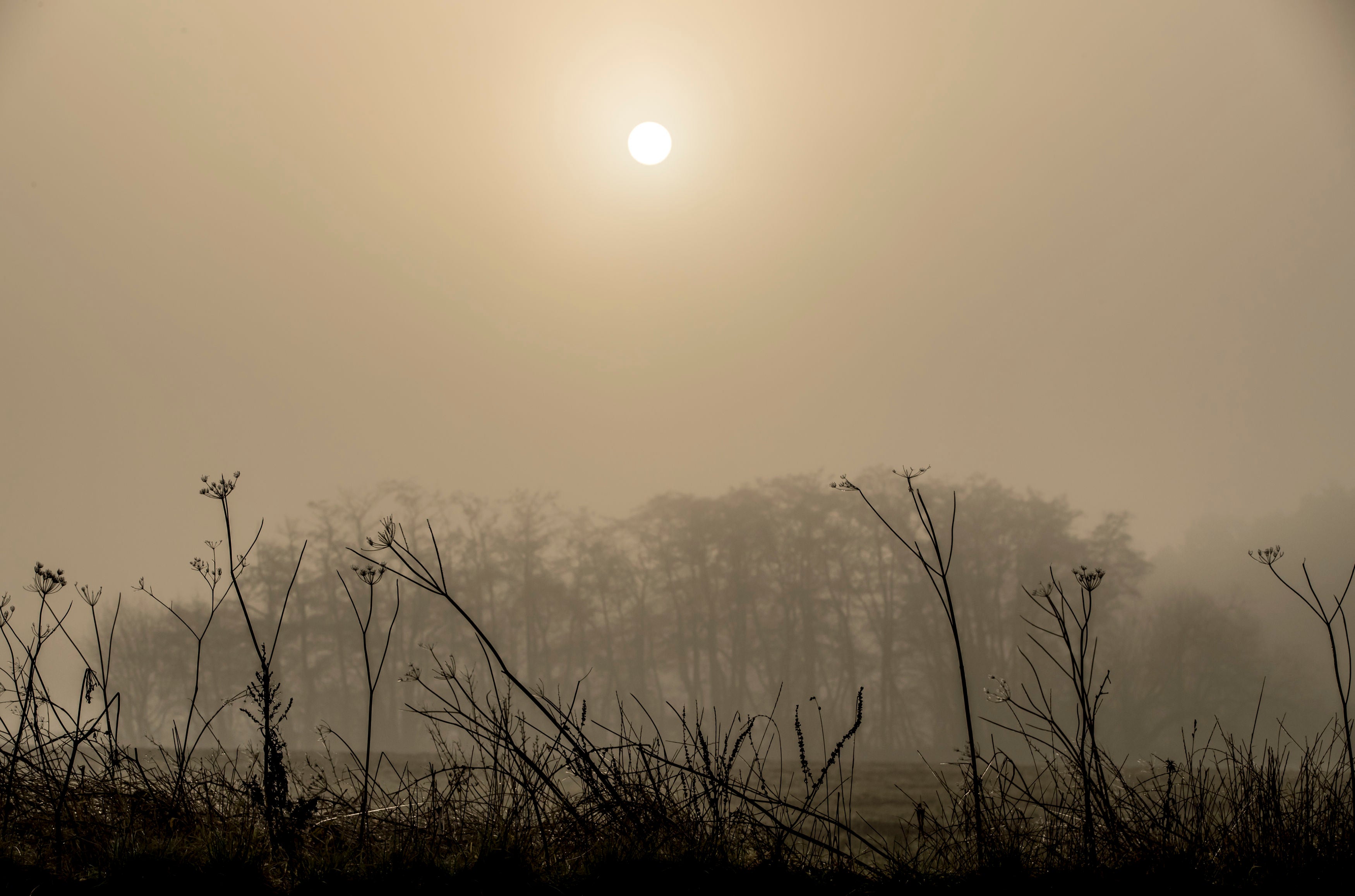 UK weather: Britons wake to thick fog as Met Office warns 'flights could be  cancelled' | The Independent