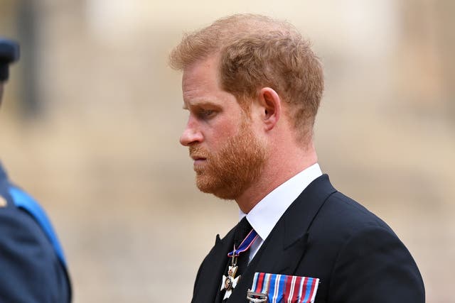 <p>Prince Harry  said that talking about his own grief had been way way he has learned to cope</p>