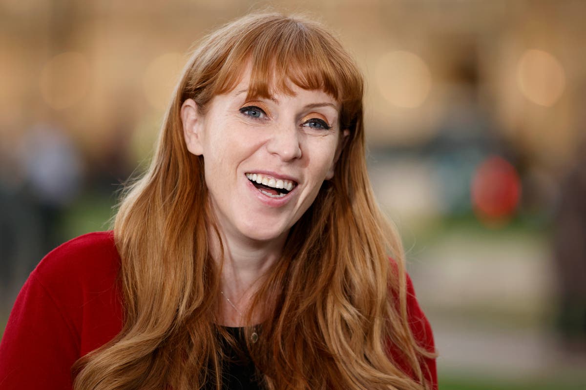Angela Rayner accuses government of ‘cheating’ small businesses out of opportunity