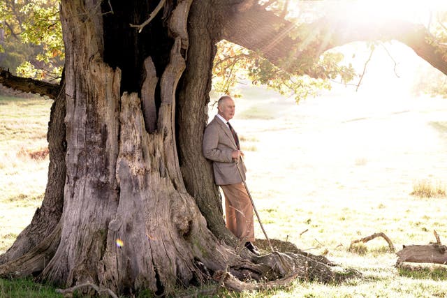 The King in Windsor Great Park (Getty/PA)