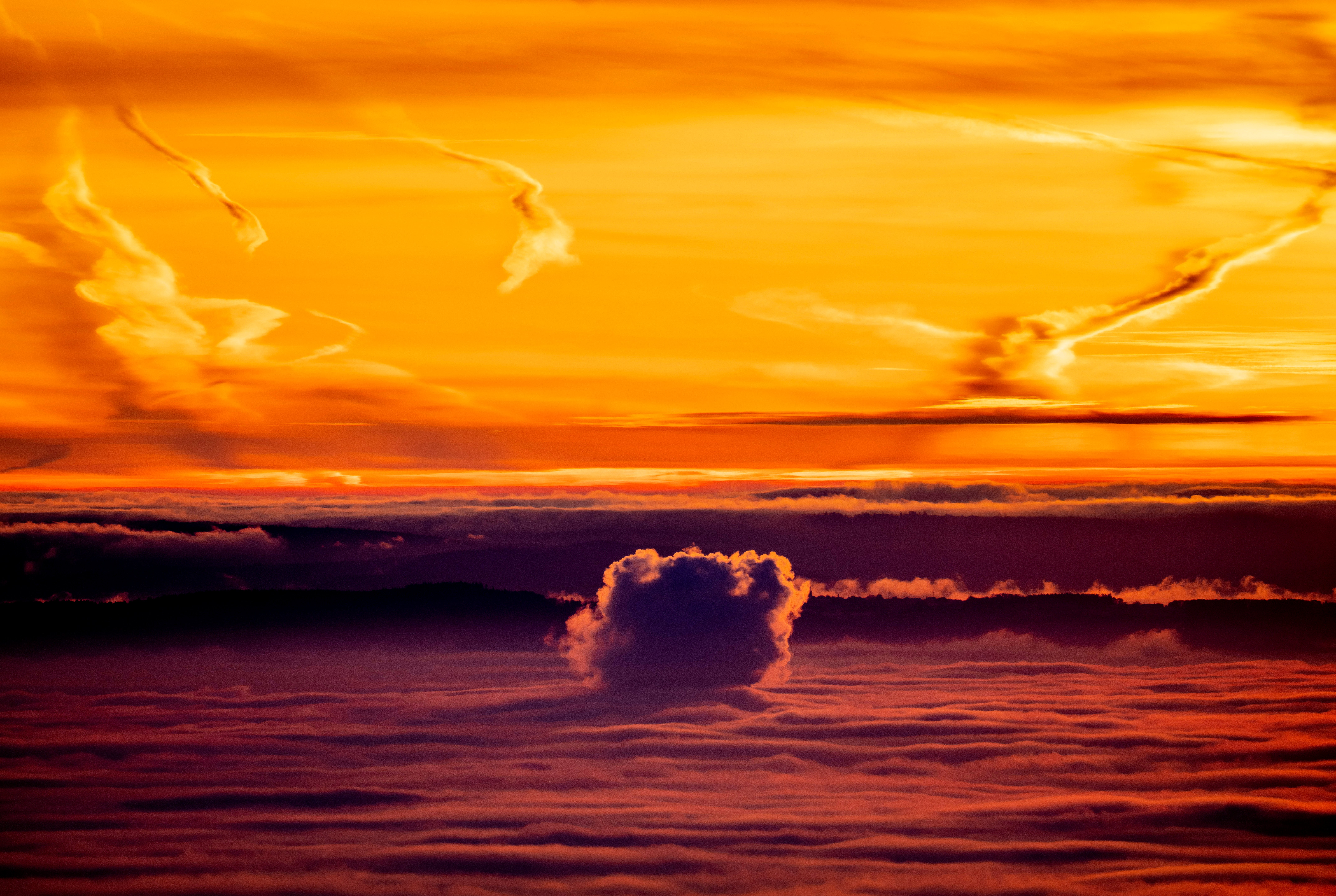 COP27 State of Negotiations