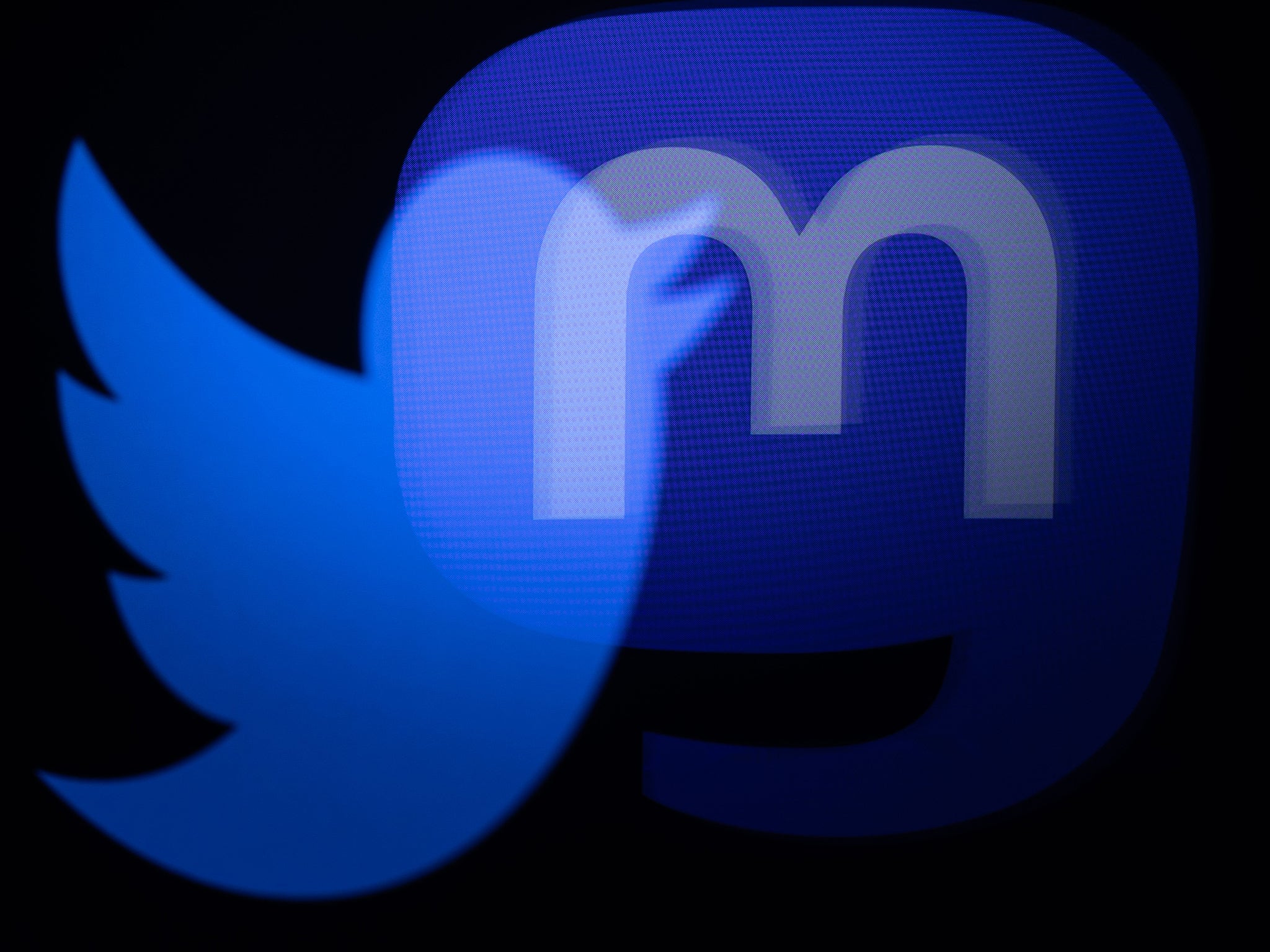 The duelling logos of Twitter and Mastodon