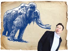 Should Elon Musk really be afraid of Mastodon?