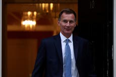 Brexit ‘damage’ is cause of ‘austerity budget’, says ex-Bank of England economist