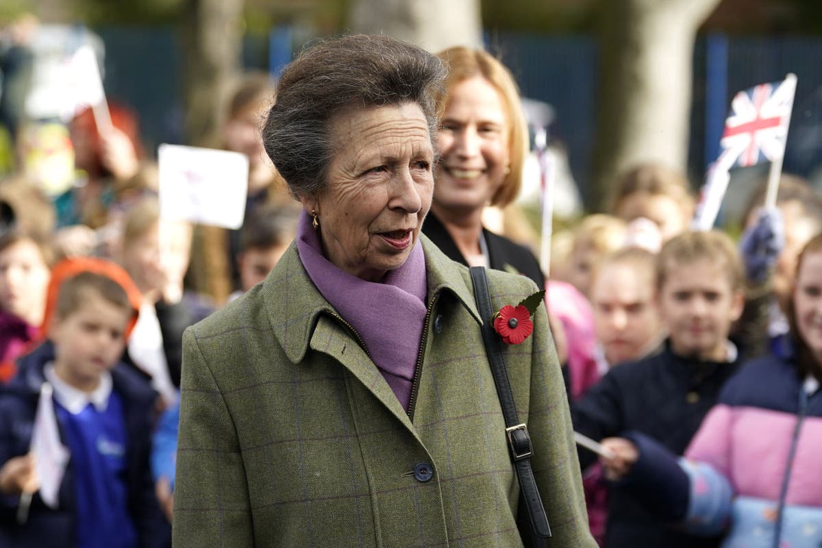 Princess Royal and Earl of Wessex to deputise for King in ‘efficiency’ move Princess Royal and Earl of Wessex to deputise for King in ‘efficiency’ move