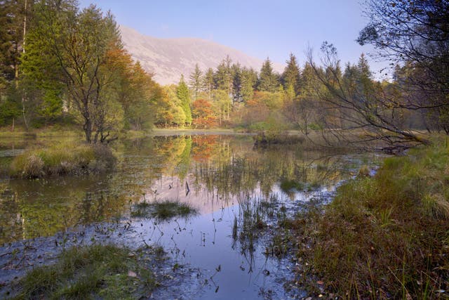Wild Ennerdale has been designated as a super national nature reserve (Joe Cornish/National Trust/PA)