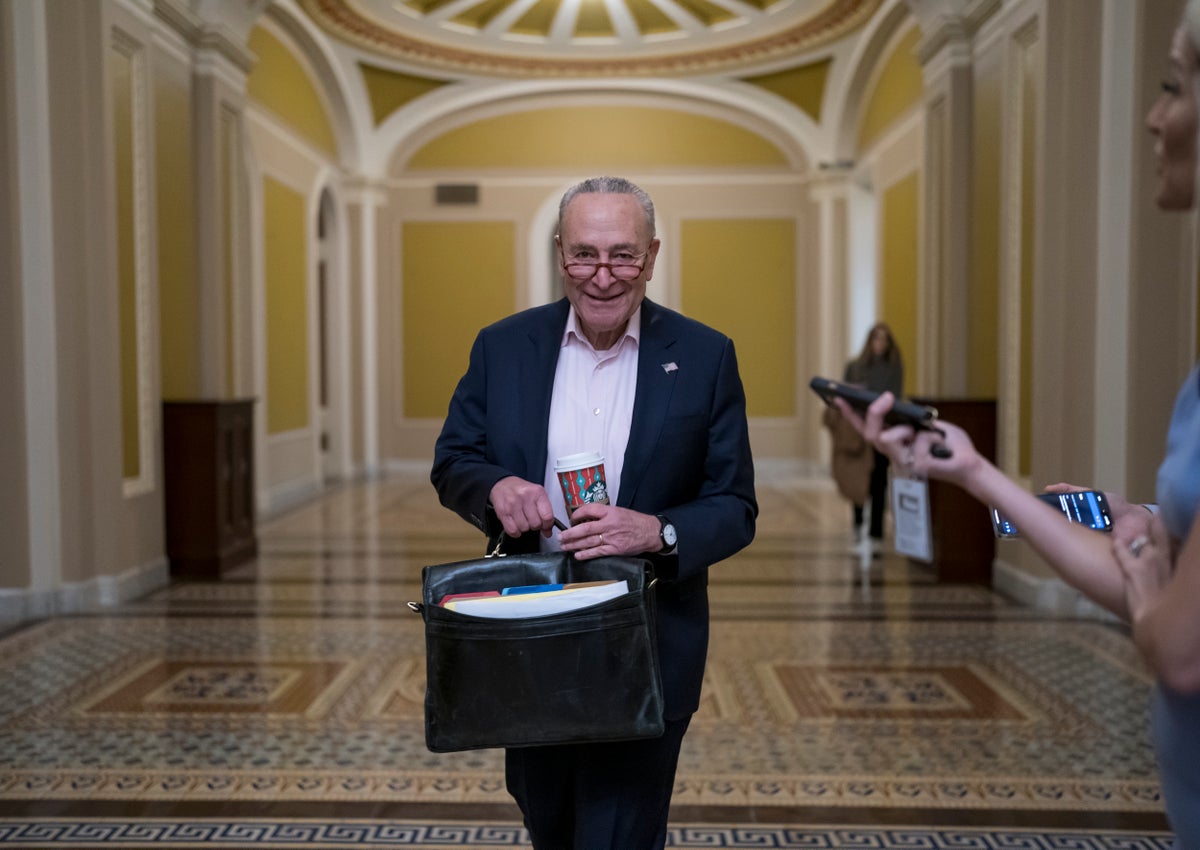 ‘Vindication’: Schumer lifts Democrats with majority stunner