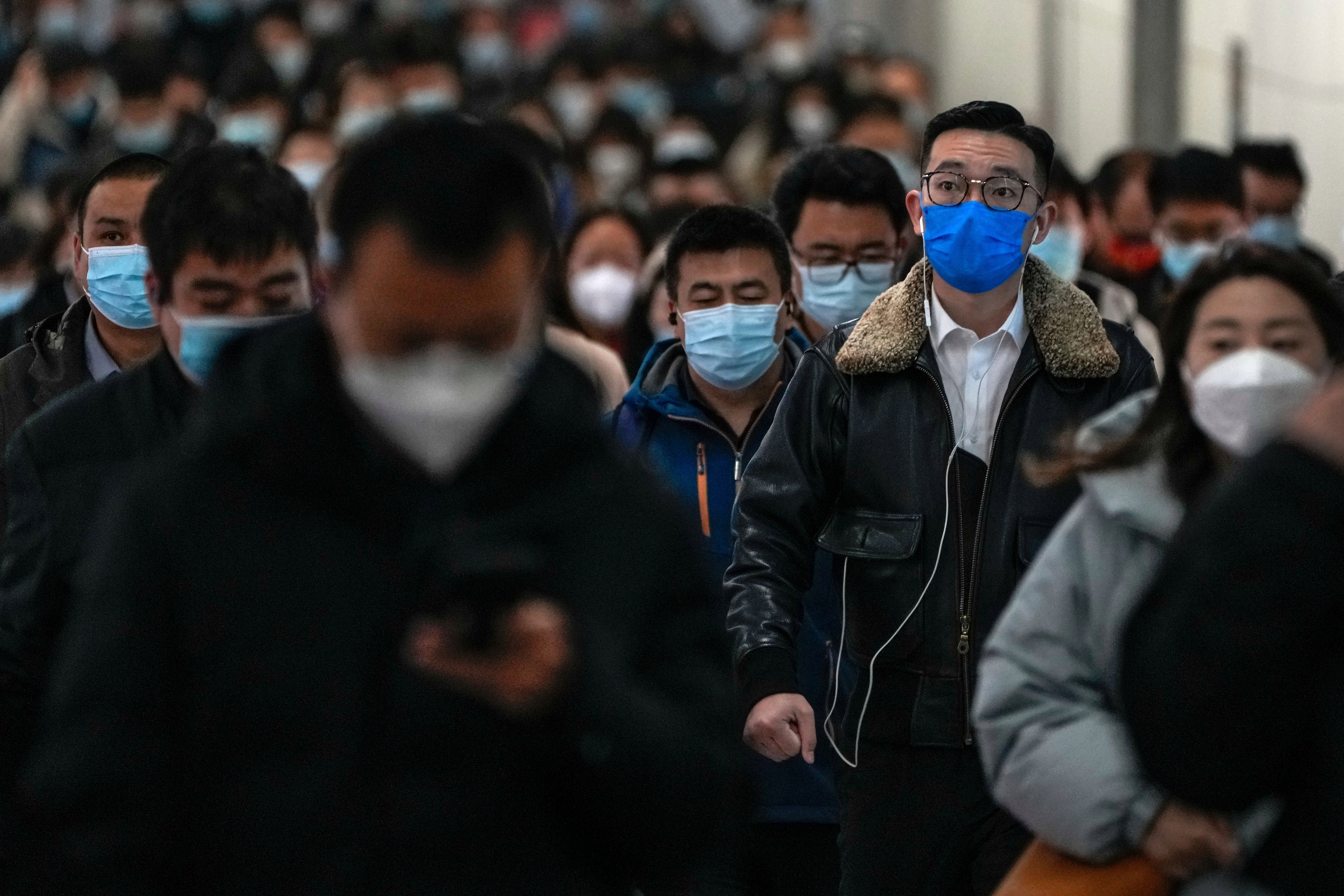 World Population 8 Billion