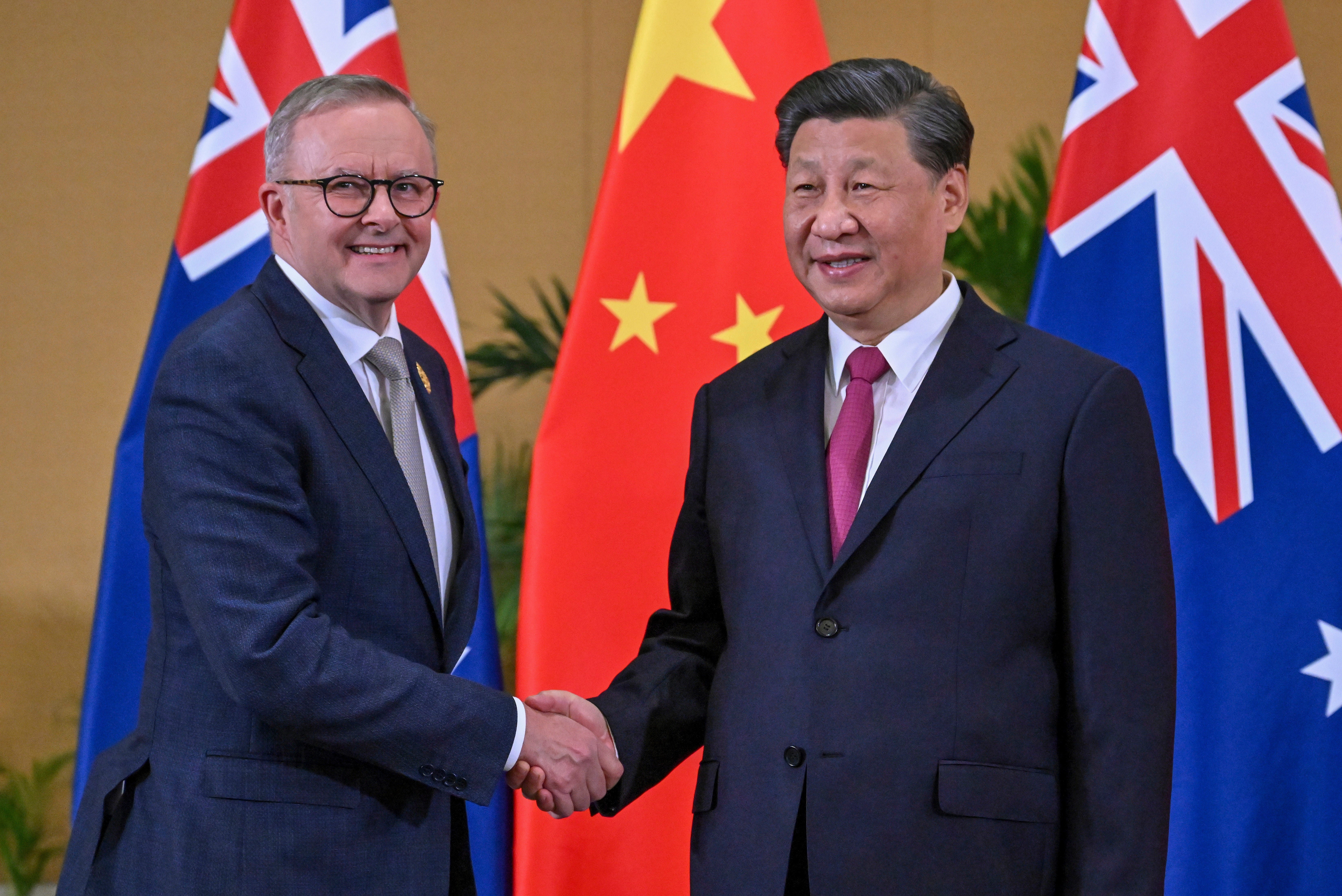 Anthony Albanese met Chinese leader Xi Jingping at the G20 last year