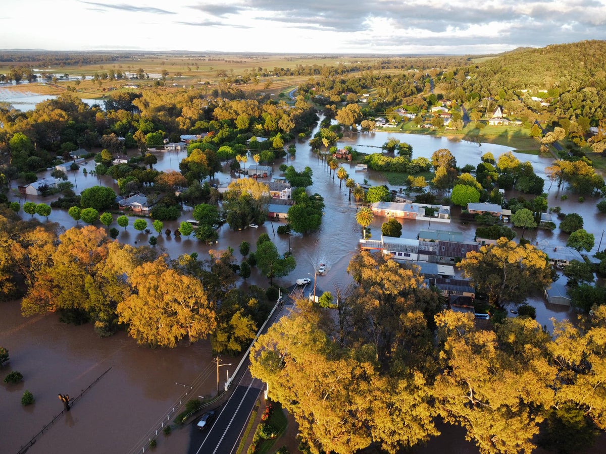 Australia flooding: Victims rescued from treetops and roofs as thousands stranded across New South Wales