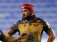 Josh Macleod handed Wales debut for Georgia clash