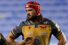 Josh Macleod handed Wales debut for Georgia clash